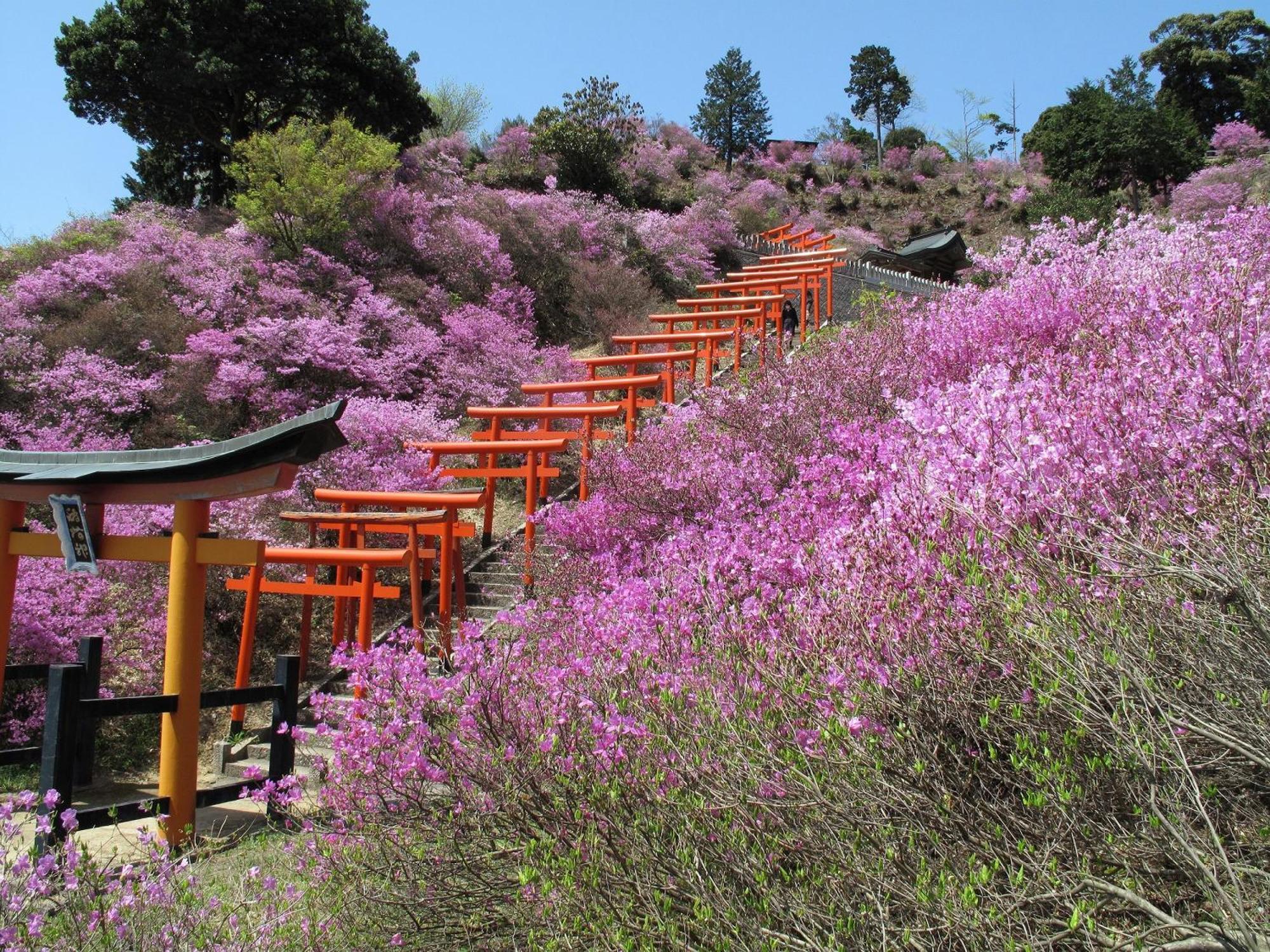 Mercure Kyoto & Hotel